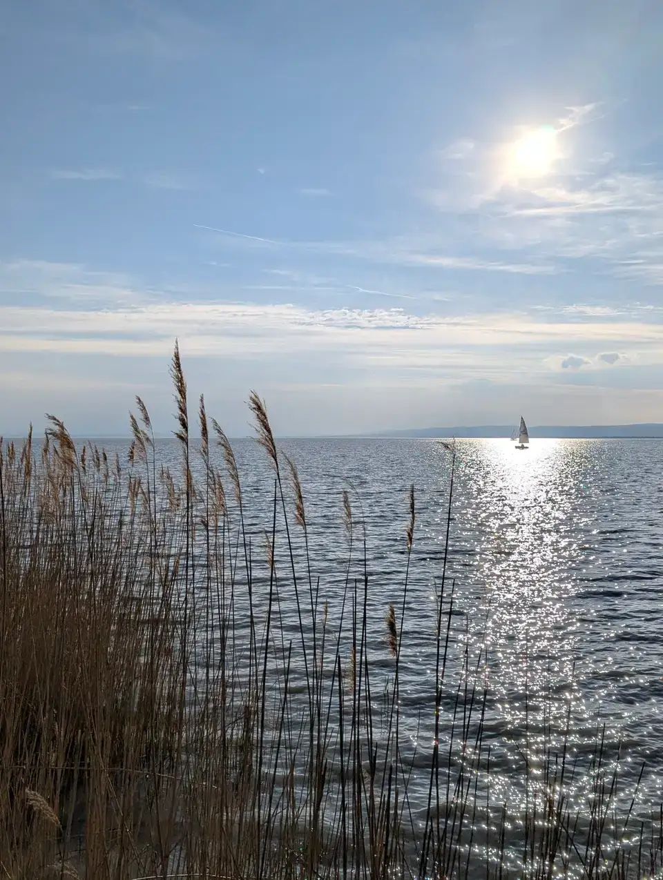Guanxi Beach am Neusiedlersee – Foto 18
